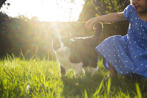 Kleines Mädchen mit Katze auf einer Wiese bei Gegenlicht - LVF003200