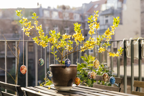 Balcony Easter decoration in Forsythia stock photo