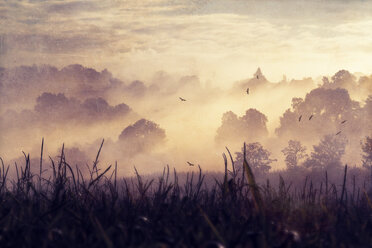 Deutschland, Neblige Landschaft bei Sonnenaufgang - DWIF000472