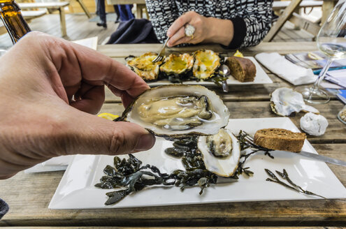 Eating Zeeland oysters in a restaurant - THAF001363