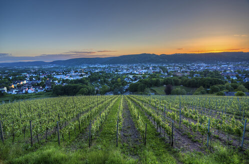 Germany, Rhineland-Palatinate, Trier at blue hour - PAF001351