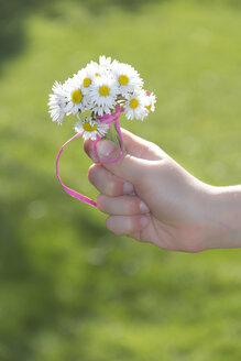 Kleines Mädchen hält einen Strauß Gänseblümchen in der Hand - YFF000413