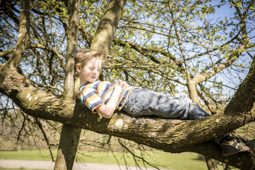 Boy relaxing on a branch at sunlight - SARF001742