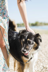 Frau mit Hund im Sommer im Freien - UUF003926