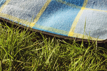 Blanket in meadow - RIBF000046