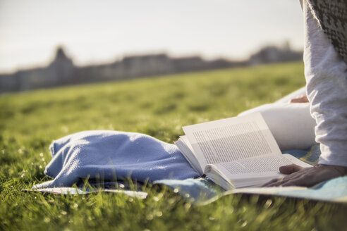 Nahaufnahme einer Frau, die auf einer Decke auf einer Wiese ein Buch liest - RIBF000041