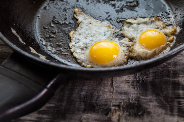 Fried quail eggs in pan - SBDF001799