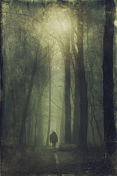 Germany, near Wuppertal, man walking in the wood - DWI000476