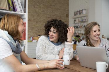 Gruppe von Freunden mit Laptop in einer Cafeteria - FKF000985