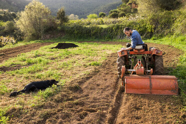 Farmer with tractor on field with dog watching - GEMF000230