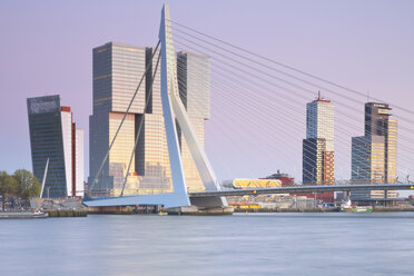 Netherlands, County of Holland, Rotterdam, View to Erasmus bridge and KPN Tower by Renzo Piano De Rotterdam building by Rem Koolhaas - MSF004523