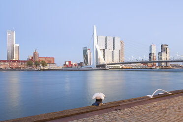 Netherlands, County of Holland, Rotterdam, Kop van Zuid, View to Erasmus bridge and the skyline in the evening - MSF004524