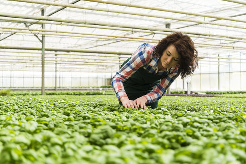 Junge Gärtnerin bei der Arbeit in einer Gärtnerei - UUF003948