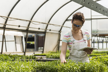 Young female gardener working in plant nursery - UUF003963