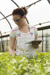 Young female gardener working in plant nursery - UUF003964