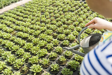 Young female gardener watering plants in nursery - UUF003981