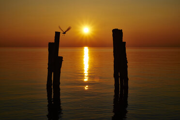 Italien, Punta san Vigilio, Sonnenuntergang über dem Gardasee - MRF001635