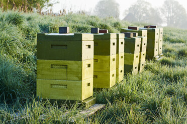 Deutschland, Petershagen, Reihe von Bienenstöcken - HAWF000779