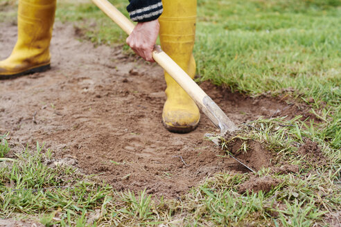 Gardner removing turf of a meadow - HAWF000780