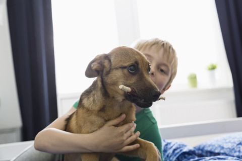 Junge kuschelt mit Hund auf dem Bett, lizenzfreies Stockfoto