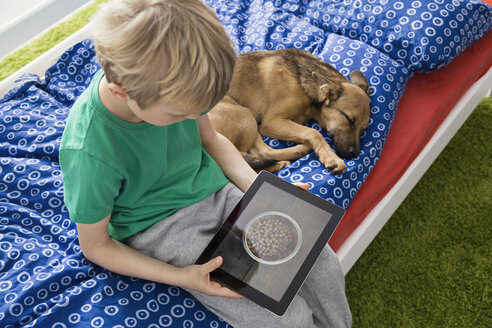 Dog lying on bed with boy using digital tablet - PDF000935