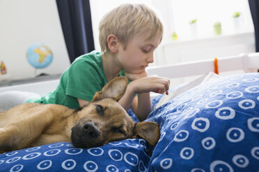 Dog lying on bed with boy using digital tablet - PDF000926