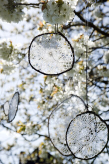 Dream catcher made of old crochet tablecloths hanging in blossoming cherry tree - GISF000111