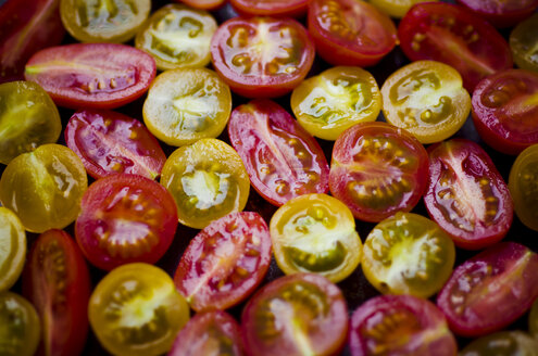 Frische rote Pflaumentomaten, rote und gelbe Kirschtomaten - CZF000197