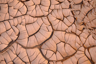 Algerien, Tassili n' Ajjer, gebrochene Oberfläche einer Tonpfanne in der Sahara - ESF001565