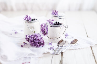 Organic blueberry dessert with blueberries, honey and greek yogurt in tiny glasses - SBDF001830