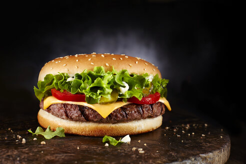 Cheeseburger - KSWF001454