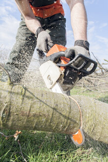 Holzfäller beim Sägen eines Baumstamms - NNF000340
