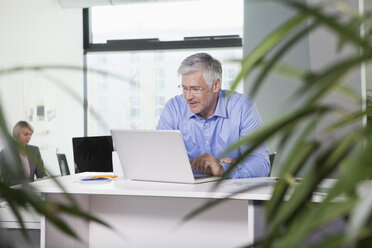 Reifer Geschäftsmann bei der Arbeit im Büro - RBF002745