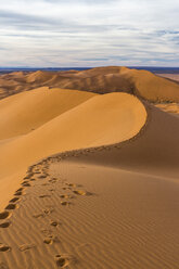 Morocco, Sahara, Erg Chebbi, footmarks on desert dune - HSKF000014