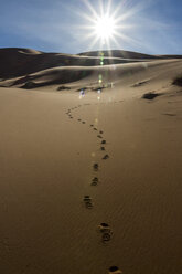 Morocco, Sahara, Erg Chebbi, footmarks on desert dune - HSKF000017