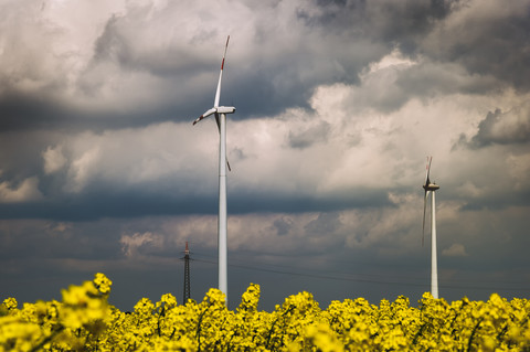 Deutschland, Borschemich, Strommast und Windräder im gelben Rapsfeld, lizenzfreies Stockfoto