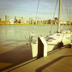 Belgien, Antwerpen, Schelde - PATF000048