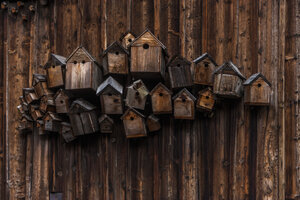 Verschiedene hölzerne Vogelhäuser hängen an einer Holzwand - TCF004661