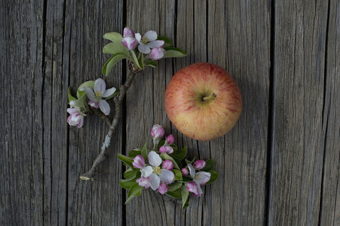 Gala Royal Apfel und Blüten auf Holz - CRF002687