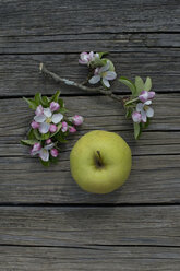 Golden Delicous Apfel und Blüten auf Holz - CRF002689