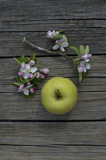Golden Delicous Apfel und Blüten auf Holz - CRF002689