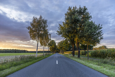 Germany, Gifhorn, tree-lined road in the evening - PVCF000424