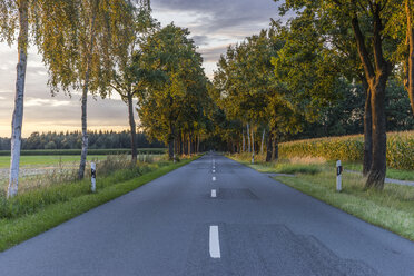 Germany, Gifhorn, tree-lined road in the evening - PVCF000425