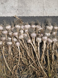 Taiwan, drying garlic - JMF000343