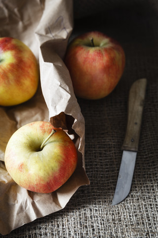 'Elstar' apples stock photo