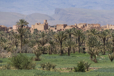 Morocco, view to kasbah behind palms at the Draa Valley - HSKF000018