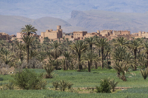 Marokko, Blick auf eine Kasbah hinter Palmen im Draa-Tal - HSKF000018