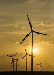 Deutschland, Salzgitter, Windpark am Abend - PVCF000426