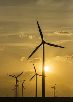 Deutschland, Salzgitter, Windpark am Abend - PVCF000426