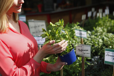 Frau mit Blumentopf voller Minze auf dem Wochenmarkt - RHF000821